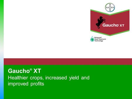 Gaucho ® XT Healthier crops, increased yield and improved profits.