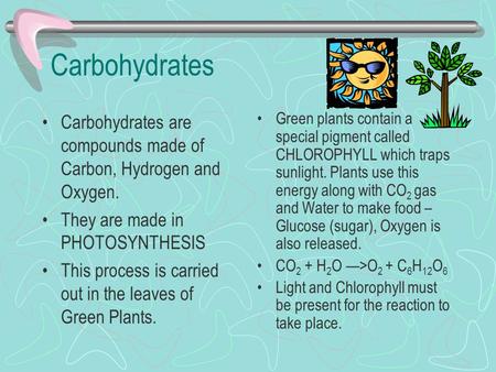 Carbohydrates Carbohydrates are compounds made of Carbon, Hydrogen and Oxygen. They are made in PHOTOSYNTHESIS This process is carried out in the leaves.