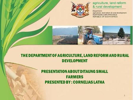 THE DEPARTMENT OF AGRICULTURE, LAND REFORM AND RURAL DEVELOPMENT PRESENTATION ABOUT DITAUNG SMALL FARMERS PRESENTED BY : CORNELIAS LATHA 1.