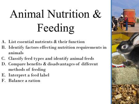 Equine Nutrition Feed Quality and Feed Analysis. Feed Quality Quality of  feed affects its value for animal nutrition. Quality factors include – palatability. - ppt download