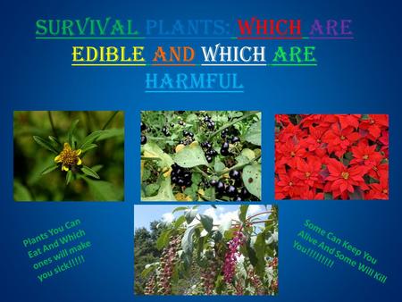 Survival Plants: Which are edible and which are harmful Plants You Can Eat And Which ones will make you sick!!!!! Some Can Keep You Alive And Some Will.