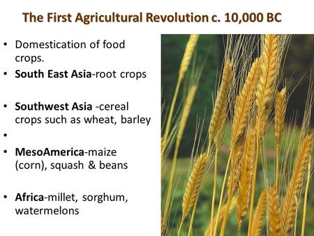 The First Agricultural Revolution c. 10,000 BC
