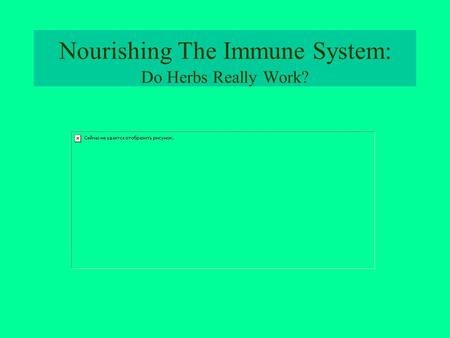 Nourishing The Immune System: Do Herbs Really Work?