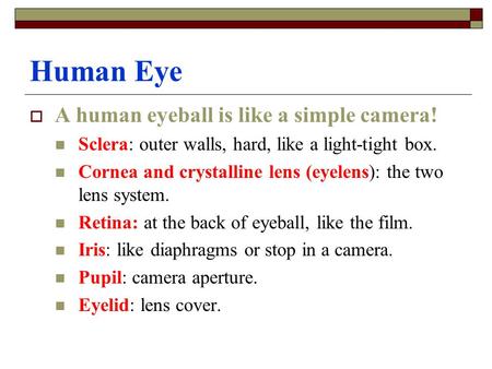 Human Eye  A human eyeball is like a simple camera! Sclera: outer walls, hard, like a light-tight box. Cornea and crystalline lens (eyelens): the two.