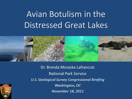 Avian Botulism in the Distressed Great Lakes Dr. Brenda Moraska Lafrancois National Park Service U.S. Geological Survey Congressional Briefing Washington,