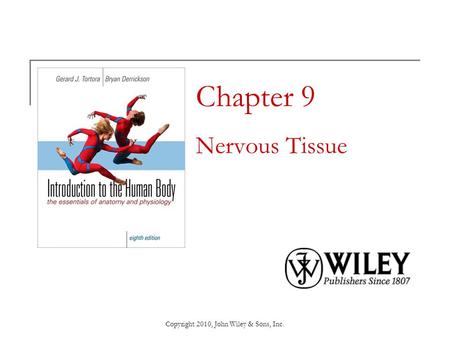 Chapter 9 Nervous Tissue