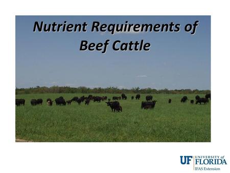 Nutrient Requirements of Beef Cattle. Theorem of the 7 P’s Prior Proper Preparation Prevents Poor Production Performance.