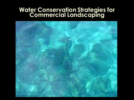 Water Conservation Strategies for Commercial Landscaping.