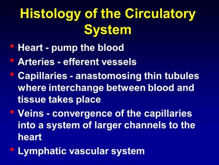 Histology of the Circulatory System Heart - pump the blood Arteries - efferent vessels Capillaries - anastomosing thin tubules where interchange between.