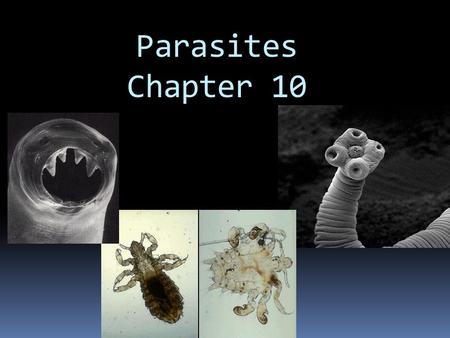 Parasites Chapter 10. Parasitology  Parasites that infect humans have various classifications, characteristics, and life cycles  Parasites are organisms.