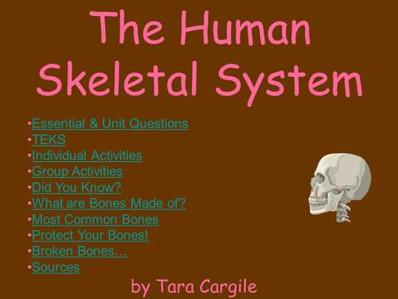 The Human Skeletal System by Tara Cargile Essential & Unit Questions TEKS Individual Activities Group Activities Did You Know? What are Bones Made of?