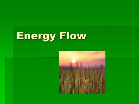 Energy Flow. Who eats what in an ecosystem?  Ecosystems are structured by who eats whom. A trophic level is the position that an organism occupies in.