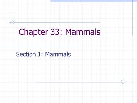 Chapter 33: Mammals Section 1: Mammals.