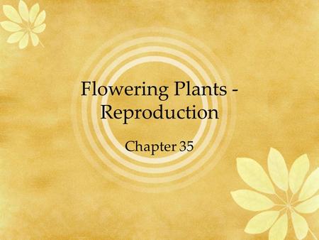 Flowering Plants - Reproduction