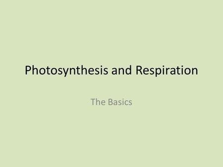 Photosynthesis and Respiration The Basics. How do organisms obtain energy? Plants get their energy from the sun! Plants are called autotrophs Auto = Self.