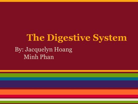 The Digestive System By: Jacquelyn Hoang Minh Phan.
