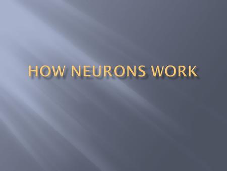  What Do Neurons Have to Do With Psychology?  How Do Neurons Communicate?  How Can Neurons Produce Complex Processes?  How is the Nervous System.