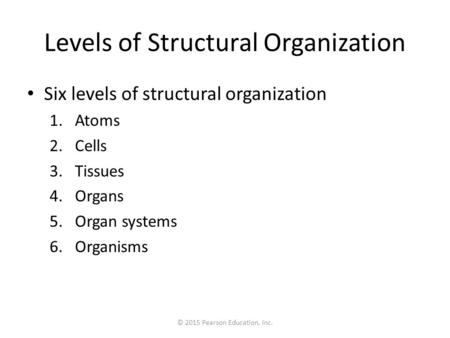 Levels of Structural Organization