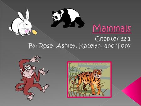 Chapter 32.1 By: Rose, Ashley, Katelyn, and Tony