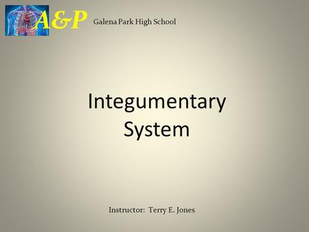Integumentary System Galena Park High School A&P Instructor: Terry E. Jones.