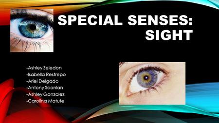 SPECIAL SENSES: SIGHT -Ashley Zeledon -Isabella Restrepo -Ariel Delgado -Antony Scanlan -Ashley Gonzalez -Carolina Matute.