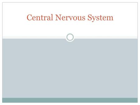 Central Nervous System. Major Anatomic regions of Brain Cerebrum Diencephalon Brainstem Cerebellum.