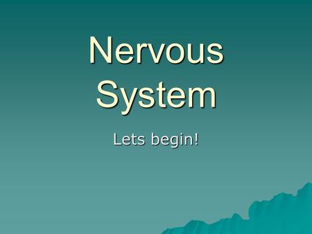 Nervous System Lets begin!. TERMINOLOGY (cover + 203)  Neuro-bi-  Astro-af-  Micr(o)-ef-  Uni-Multi-  Pia Oligo-  -glia (glue)dendr(o)-  Gangli-mening-