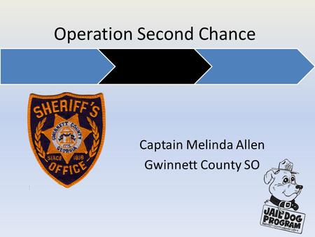 Operation Second Chance Captain Melinda Allen Gwinnett County SO.