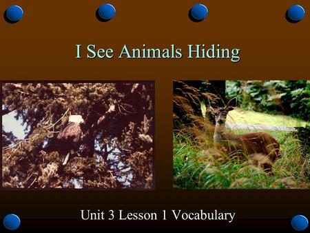 I See Animals Hiding Unit 3 Lesson 1 Vocabulary. natural o Not learned or taught, but something one is born with. o Regular, normal, usual It is natural.
