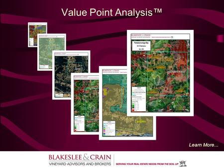 Value Point Analysis™ Learn More.... What is Value Point Analysis™? Value Point Analysis™ (VPA): Determines Gross/Net Plantable Acres using a GIS Mapping.