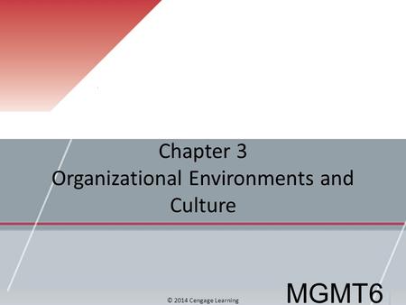 Chapter 3 Organizational Environments and Culture