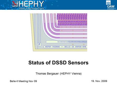 Belle-II Meeting Nov 09 19. Nov. 2009 Thomas Bergauer (HEPHY Vienna) Status of DSSD Sensors.