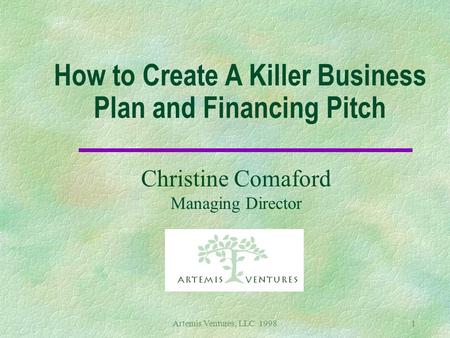 Artemis Ventures, LLC 19981 How to Create A Killer Business Plan and Financing Pitch Christine Comaford Managing Director.