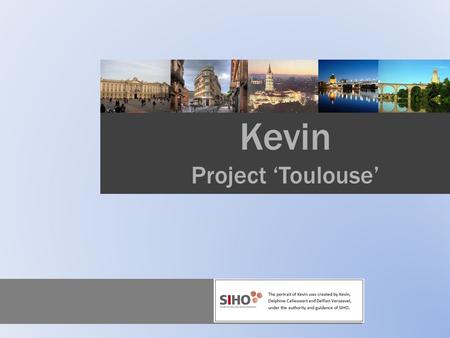 Consultants: D&D Kevin Project ‘Toulouse’ Pitch book Project “Toulouse” Pitch book - definition A pitch book is a marketing device used by the investment.