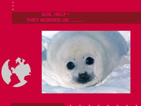 SOS, HELP ! THEY MURDER US........... IN CANADA THEY HAVE A NEW FORM OF TOURISM, IN NORWAY THE SAME: TO KILL US.