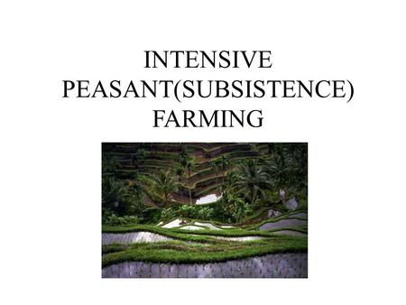 INTENSIVE PEASANT(SUBSISTENCE) FARMING. Wet Rice Farming Where ? South and East Asia ( Malaysia, Indonesia and SE China) Tropical /Equatorial climates.
