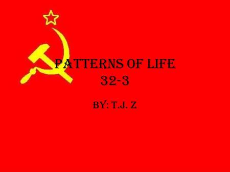 Patterns of Life 32-3 By: T.J. Z. Lesson Questions How was Russia society organized? How did religion support the social system? What Daily activities.