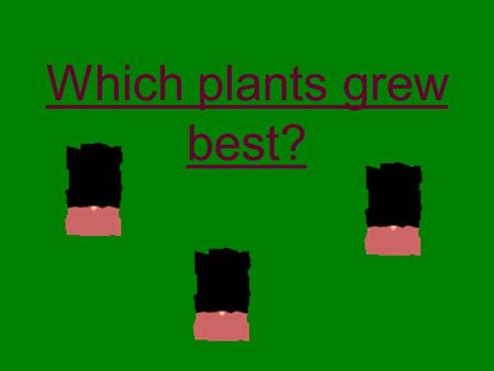 Which plants grew best?. We grew the cress in cups. How did we make it fair? We used three cups all the same size.