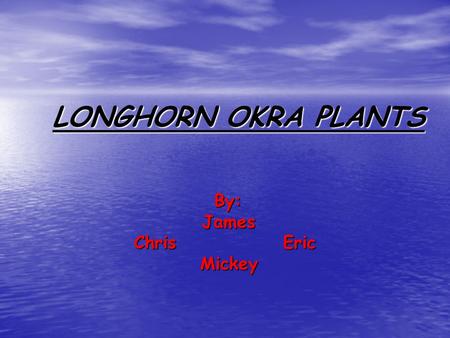 LONGHORN OKRA PLANTS LONGHORN OKRA PLANTS By: James Chris Eric Mickey.