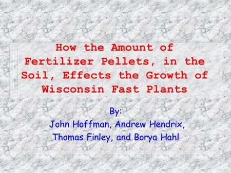 How the Amount of Fertilizer Pellets, in the Soil, Effects the Growth of Wisconsin Fast Plants By: John Hoffman, Andrew Hendrix, John Hoffman, Andrew.