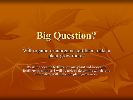 Will organic or inorganic fertilizer make a plant grow more?