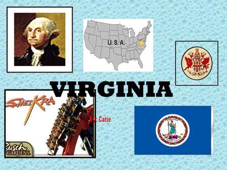 VIRGINIA By: Catie VIRGINIA RULES!!!! HISTORY FAMOUS PEOPLE SOURCES STATE FLAG SYMBOLS WHY WOULD YOU WANT TO GO TO VIRGINIA This will appear on every.