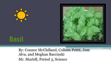 Basil By: Connor McClelland, Colleen Pettit, Jose Alva, and Meghan Barcinski Mr. Martell, Period 3, Science.