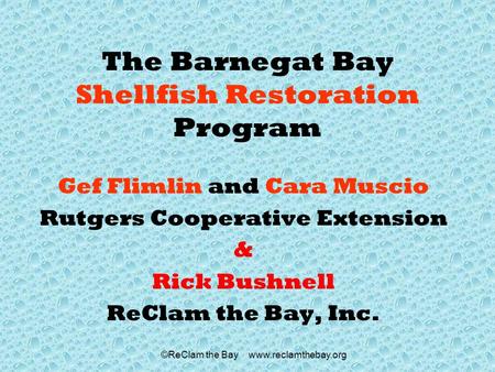 ©ReClam the Bay www.reclamthebay.org The Barnegat Bay Shellfish Restoration Program Gef Flimlin and Cara Muscio Rutgers Cooperative Extension & Rick Bushnell.