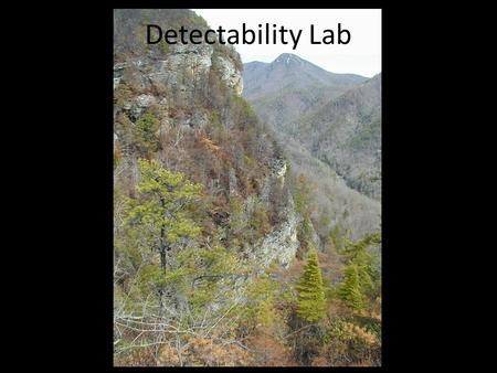 Detectability Lab. Outline I.Brief Discussion of Modeling, Sampling, and Inference II.Review and Discussion of Detection Probability and Point Count Methods.