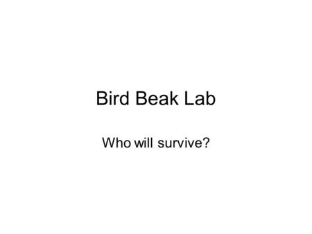 Bird Beak Lab Who will survive?. Instructions Take out one piece of paper and a pencil. Clear off your desk. Follow directions on the following slides.