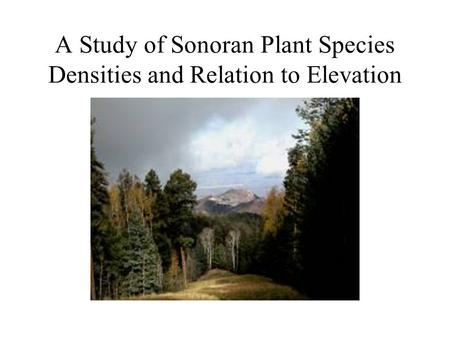 A Study of Sonoran Plant Species Densities and Relation to Elevation.