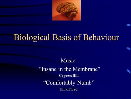 Biological Basis of Behaviour Music: “Insane in the Membrane” Cypress Hill “Comfortably Numb” Pink Floyd.
