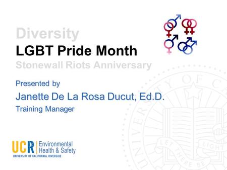 Diversity LGBT Pride Month Stonewall Riots Anniversary Presented by Janette De La Rosa Ducut, Ed.D. Training Manager.