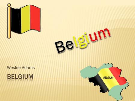 Weslee Adams.  In all there are 10, 431, 477 people and counting right now in Belgium.  Belgium ranks 80 th overall in the world on the population ranks.